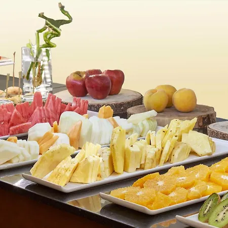 奥肯卡塞雷斯宫nh精品酒店 4* Caces